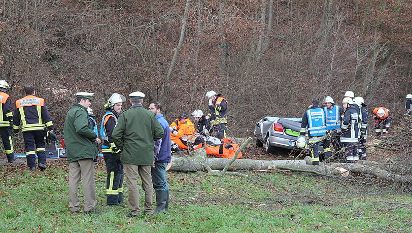 Ein Autofahrer in Fridolfing wurde schwer verletzt: Weil er eine Absperrung missachtet hatte, fiel ein bei Baumfällarbeiten gefällter Baum auf seinen Wagen. Ein Autofahrer in Fridolfing wurde schwer verletzt: Weil er eine Absperrung missachtet hatte, fiel ein bei Baumfällarbeiten gefällter Baum auf seinen Wagen.