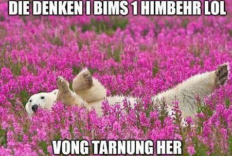 Ein Himbehr