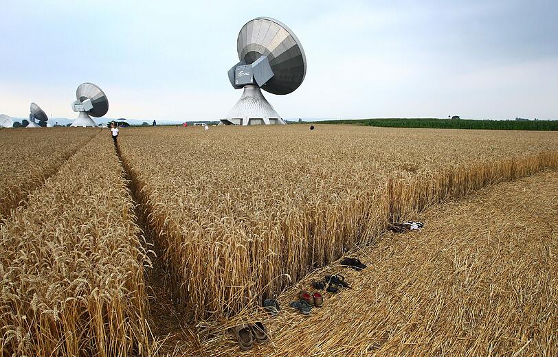 Der Kornkreis in Raisting zieht haufenweise Schaulustige an. Die Bilder.