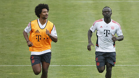 Zwei, die sich sehr gut verstehen - und die in der kommenden Saison oft gemeinsam in der Bayern-Startelf stehen dürften: Sadio Mané (r.) und Serge Gnabry.