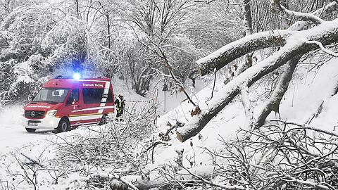 Mehrere Bäume waren aufgrund der anhaltenden Schneefälle südlich des Weilers Aberg (Landkreis Miesbach) nahe der A8 umgestürzt. Nachdem ein Auto von einem Baum getroffen worden war, sperrte die Feuerwehr die Verbindungsstraße zwischen Otterfing und Kreuzstraße.