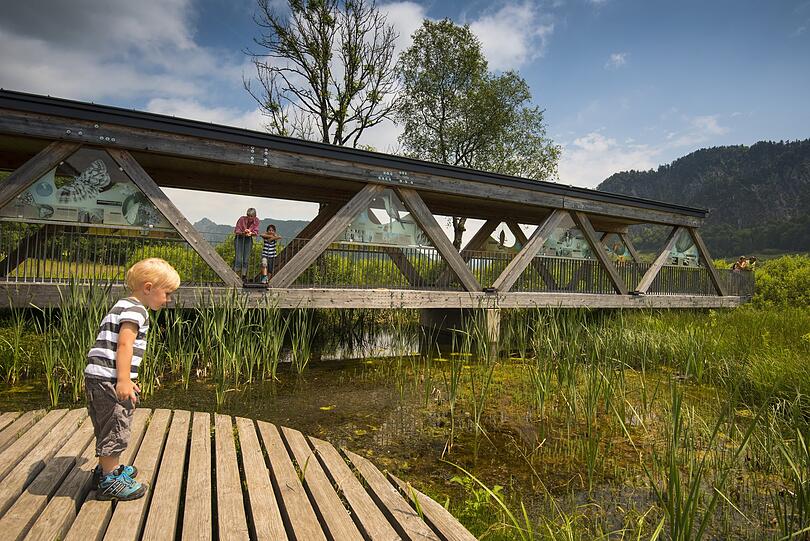 Halb- oder Tageswanderungen, mit der Familie oder dem Hund, zu über 30 Hütten oder auf zig Gipfel: Unerschöpflich sind die Möglichkeiten, die umliegende Bergwelt im Kaiserwinkl zu Fuß zu entdecken.
