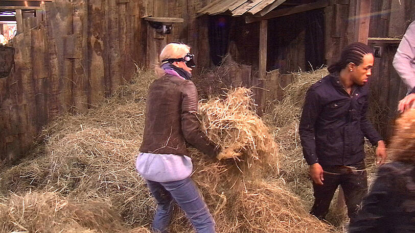 Die arme Jenny ist allergisch. Tapfer opfert sie sich aber für die Gruppe auf und sucht mit.
