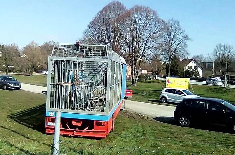 Die Polizei und Mitarbeiter des Veterinäramtes können ihn kurze Zeit später stellen.