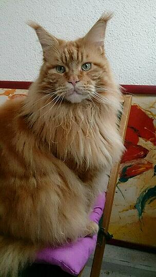 Fernando