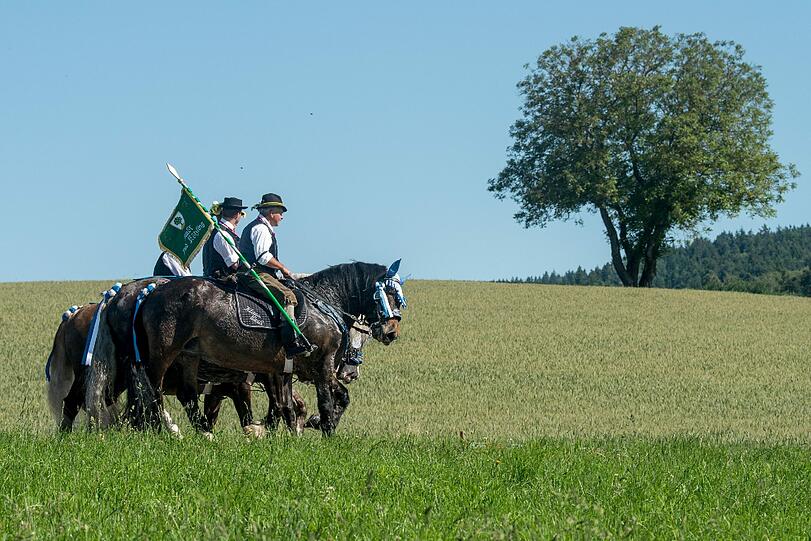 Die Prozession mit rund 900 Reitern zählt zu den ältesten bayerischen Brauchtumsveranstaltungen. Bei dem Bittgang im Sattel von prächtig geschmückten Pferden pilgern die "Mannerleut" von Kötzting zur rund sieben Kilometer entfernten Nikolauskirche in Steinbühl. Die Bilder!