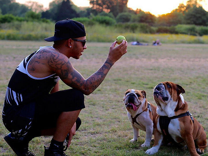 Ein malerischer Schnappschuss - ob Lewis Hamiltons Hunde wohl auch so schnell sind wie der Formel-1-Pilot?