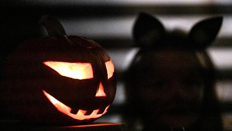 Zahlreiche Einsätze hatte die bayerische Polizei in der Halloween-Nacht. (Symbolbild)