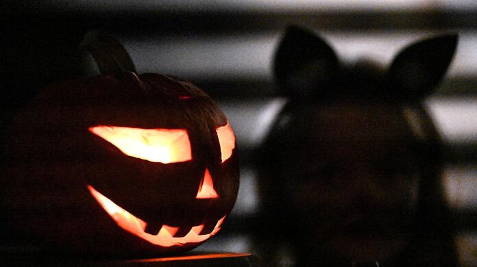 Zahlreiche Einsätze hatte die bayerische Polizei in der Halloween-Nacht. (Symbolbild)