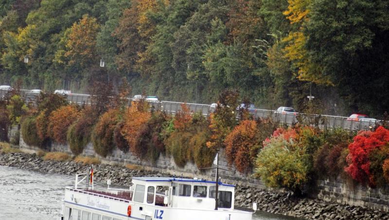 Ein Ausflugsschiff fährt auf der Donau bei Passau (Niederbayern) vor herbstlich gefärbten Bäumen. Foto: Armin Weigel dpa/Archiv