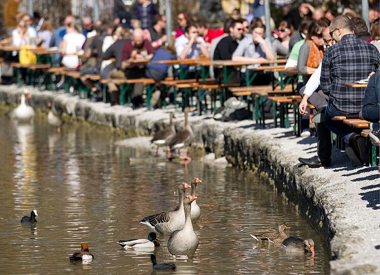 Noch einmal Englischer Garten: Die Bierbänke am Kleinhesseloher See sind richtig voll. Ein Glückspilz, wer einen Platz ergattert.