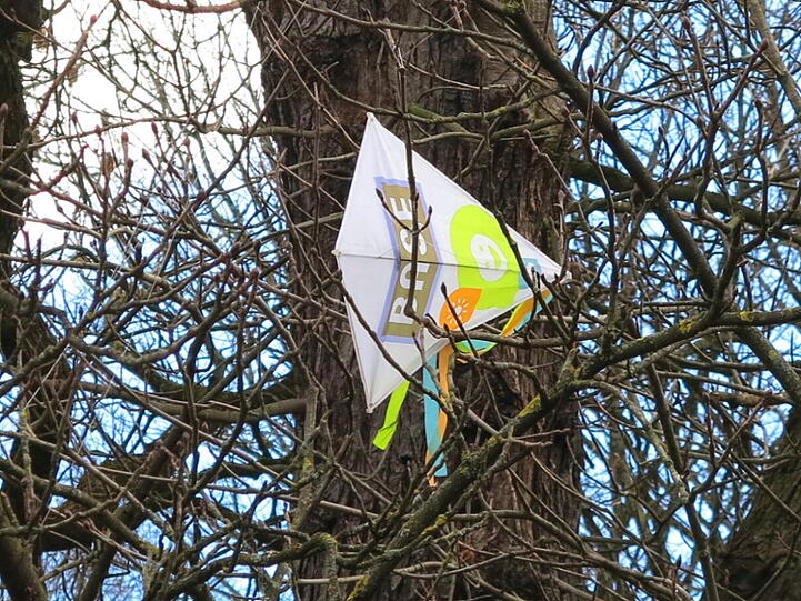 Die Eiche hat einen Winddrachen verschluckt.