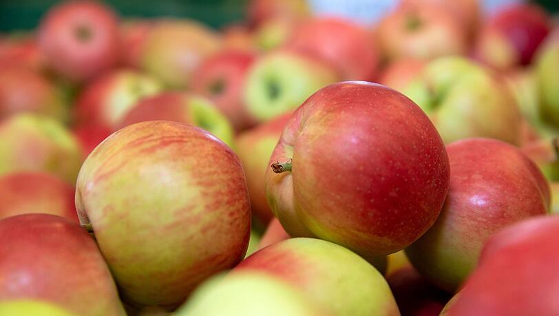 Nach Gemüse könnten in Großbritannien nach Einschätzung von Landwirten auch Äpfel und Birnen knapp werden.