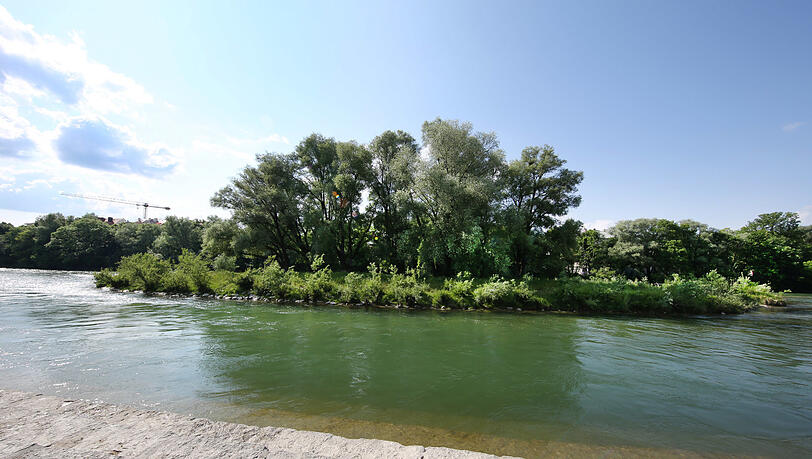 Die Weideninsel ist erst durch den Hochwasserschutz entstanden, und zwar, um die Bäume zu retten. Die Weideninsel ist erst durch den Hochwasserschutz entstanden, und zwar, um die Bäume zu retten.