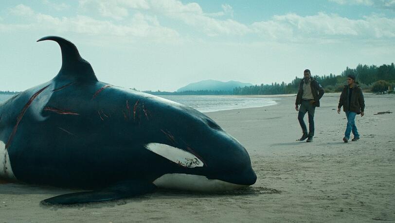"Der Schwarm": Die Walforscher Leon Anawak (Joshua Odjick, r.) und O'Bannon (Dutch Johnson) rätseln über die Todesursache eines angeschwemmten Orcas.