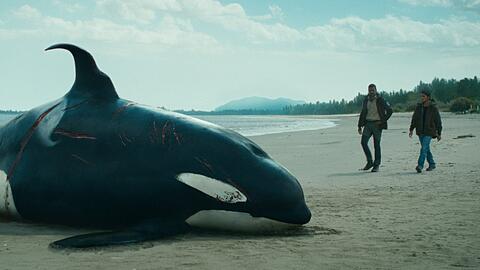 "Der Schwarm": Die Walforscher Leon Anawak (Joshua Odjick, r.) und O'Bannon (Dutch Johnson) rätseln über die Todesursache eines angeschwemmten Orcas.