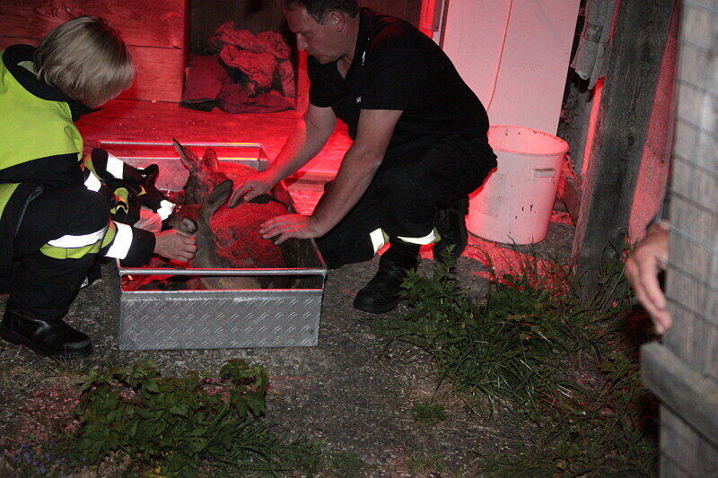 Feuerwehr und Wasserwacht retteten die Rehe aus dem wWsser und brachten sie zum Aufwärmen in eine Scheune.