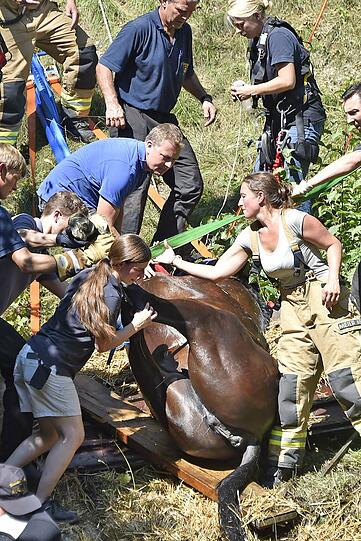 Das Pferd wurde erst ruhig gestellt und dann mittels Seilwinde gerettet.