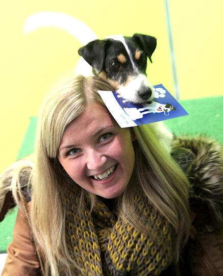Parson Russel Terrier "Kalle" huldigt seinen Fans bei einer eigenen Autogrammstunde.