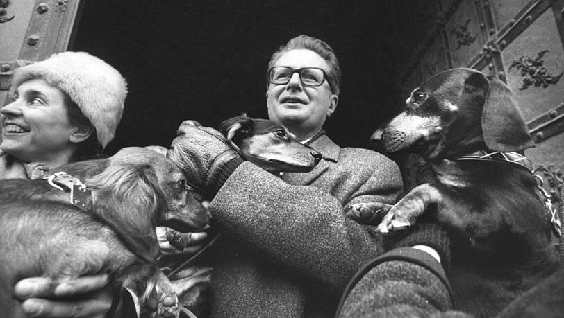 Auf den Hund gekommen: Vogel im Januar 1972 zur Eröffnung einer sogenannten "Dackelparade". Auf den Hund gekommen: Vogel im Januar 1972 zur Eröffnung einer sogenannten "Dackelparade".