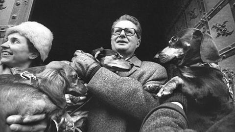 Auf den Hund gekommen: Vogel im Januar 1972 zur Eröffnung einer sogenannten "Dackelparade".