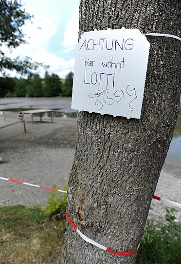 Wo ist Schnappschildkröte "Lotti"? Bilder von der großen Such-Aktion.
