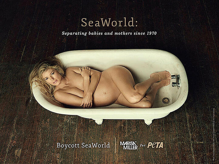 Marisa Miller macht auf das Schicksal gefangener Orcas aufmerksam