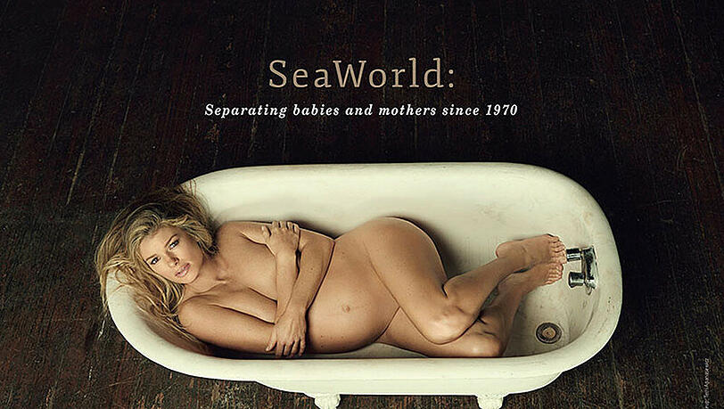 Marisa Miller macht auf das Schicksal gefangener Orcas aufmerksam Marisa Miller macht auf das Schicksal gefangener Orcas aufmerksam