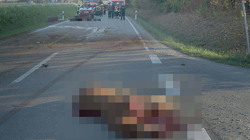 Ein Mercedes mit Totalschaden, ein schwerverletzter Autofahrer und zwei tote Pferde auf der Landstraße. Die schrecklichen Bilder aus Gangkofen