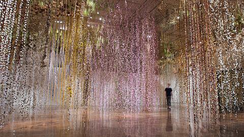 Durch ein Meer von Blumen wird man ab Februar in der Kunsthalle spazieren. Hunderte Münchner haben dazu beigetragen und monatelang gesammelt, getrocknet, gebunden. Die britische Künstlerin Rebecca Louise Law hat die Sträuße in die Installation "Calys" - Blütenkelch - überführt. Sozusagen als Ode an die Natur und ihre Schönheit.