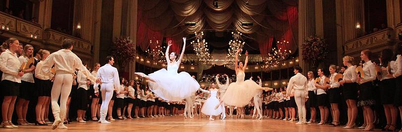 Wiener Opernball 2013: Die besten Bilder