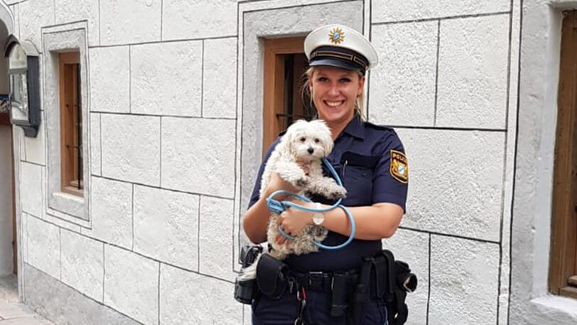Der Hund befand sich für mindestens 40 Minuten im heißen Auto.
