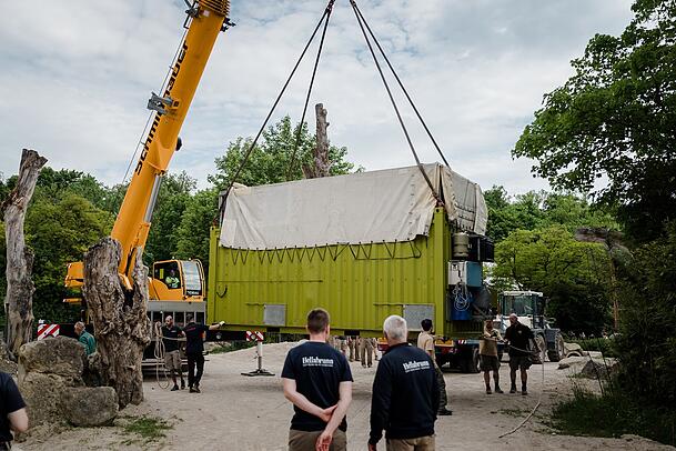 Mit Tieflader und Autokran wurden Rani und Savani von Leipzig nach München transportiert. Mit Tieflader und Autokran wurden Rani und Savani von Leipzig nach München transportiert.