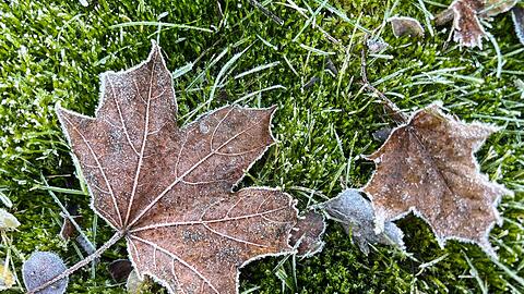 Vom K&auml;lterekord ist das Wetter in Deutschland noch weit entfernt.