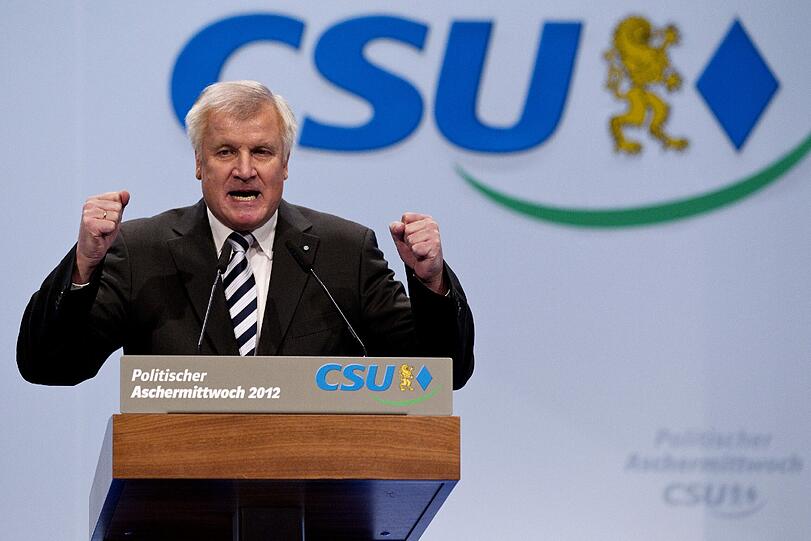 CSU-Chef Horst Seehofer 2010 in Passau: 
&bdquo;Das ist kein Tsunami, das ist nur eine Westerwelle.&ldquo;