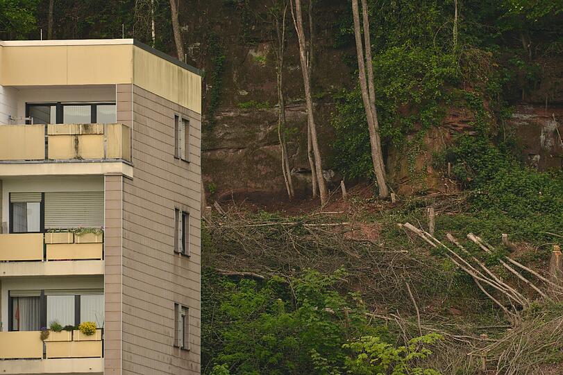 An einem Steilhang in der Nähe der Fachhochschule in Trier wurde vermutlich die sterblichen Überreste der vor fast acht Jahren verschwundenen Studentin Tanja Gräff entdeckt.