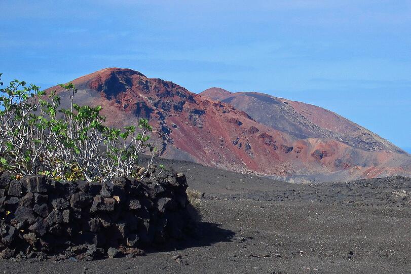 Feigenanbau im Nationalpark Timanfaya