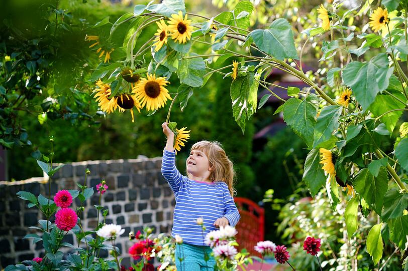 Ihr Garten sollte f&uuml;r alle Familienmitglieder eine passende Umgebung darstellen. Wenn Kinder oder Haustiere in Ihrem Haushalt leben, dann sollte der Garten so gestaltet werden, dass auch diese sich frei und sicher darin bewegen k&ouml;nnen. Beziehen Sie Ihre Kinder am besten in die Gartenarbeit mit ein (Gem&uuml;se pflanzen und ernten, Gie&szlig;en, Spielbereiche gestalten) und sorgen Sie so daf&uuml;r, dass Ihr Nachwuchs schon fr&uuml;h lernt, typische Fehler zu vermeiden.