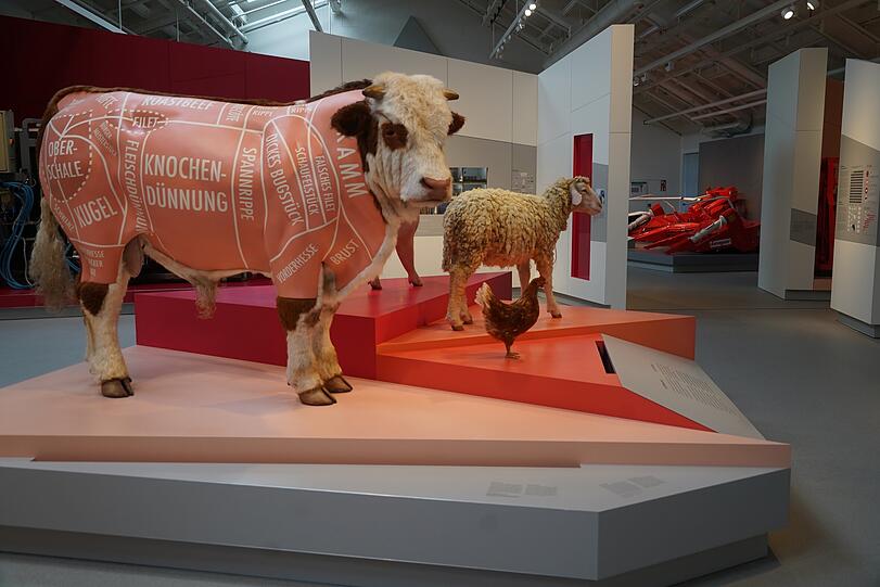 Bulle, Schwein, Schaf und Huhn – auch um Nutztiere, ihre Zucht, Haltung, Fleischproduktion und -konsum geht es in der Schau.
