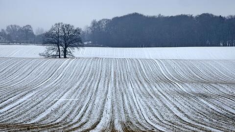 Schnee bis in die Niederungen ist am Samstag f&uuml;r die Mitte und den S&uuml;den vorhergesagt.