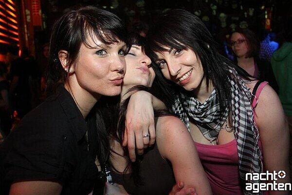 Panda Party, am Samstag im "Café Muffathalle".