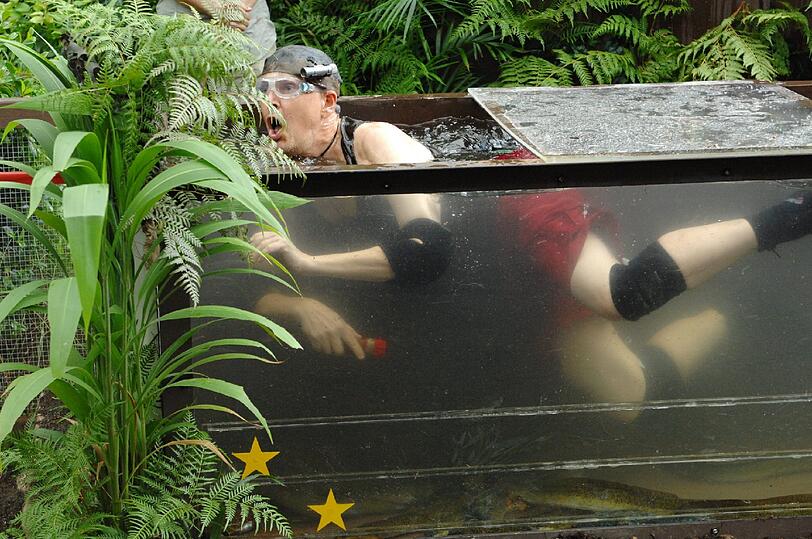 Im Tauchbecken sind Schlammkrabben, Flusskrebse und Aale.