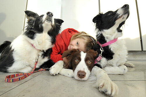 Echt preiswürdig: Die Border Collies Taita (von links), Celine und Xy kuscheln hier mit der gut behüteten fünfjährigen Nadja.
