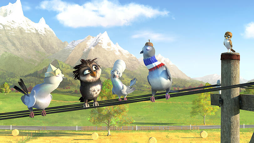 Die Tauben sind online und helfen der Eule und Spatz Richard.