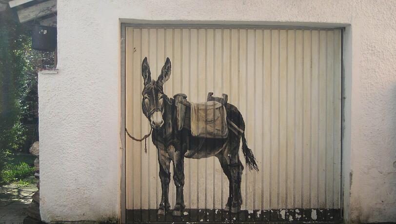 Der Esel in der Oberföhringerstraße 215.
