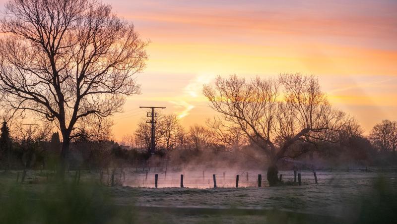 Nebel steigt aus einem Teich auf, während der Sonnenaufgang beginnt den Himmel zu färben. Foto: Jonas Walzberg/dpa Nebel steigt aus einem Teich auf, während der Sonnenaufgang beginnt den Himmel zu färben. Foto: Jonas Walzberg/dpa
