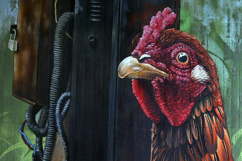 ... und neugierigen Hühnern: Die Graffitis sind sehenswert!