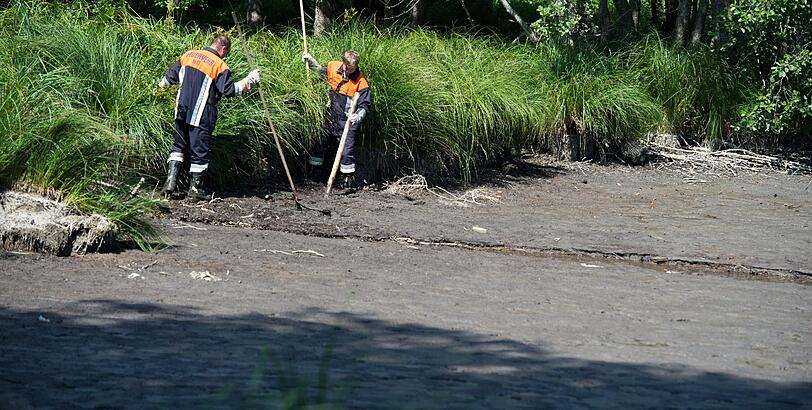 Die Suche nach Alligator-Schildkröte "Lotti" geht weiter. Hier sehen Sie die Bilder vom Badesee in Irsee.