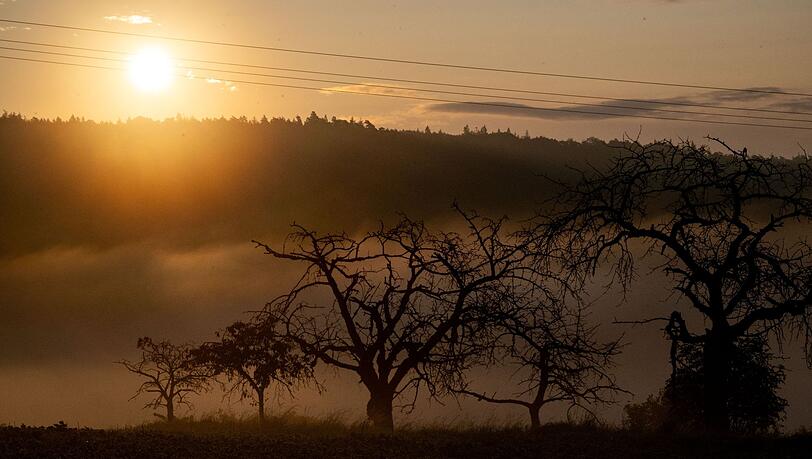 Die Sonne geht auf, während Nebel zwischen alten Obstbäumen aufsteigt.