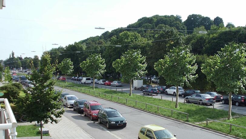 32 Allee-Bäume für die Belgradstraße: Das ist die Idee von AZ-Leser Werner Vogel. 32 Allee-Bäume für die Belgradstraße: Das ist die Idee von AZ-Leser Werner Vogel.